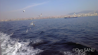 http://1.bp.blogspot.com/-UYYJJNe-flM/UVV-QjsxLLI/AAAAAAAB2PE/Rj1TWKPH7fg/s320/2013+-+1