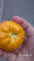 http://3.bp.blogspot.com/-834xpECaxsU/UVWI4vN_RyI/AAAAAAAB2P0/YRCSQdg96JI/s200/2013+-+1