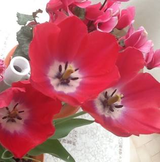 http://2.bp.blogspot.com/-1Q1IT-RKhTU/UVlTgK2N7WI/AAAAAAAB2cU/brzwWSMTE_8/w720-h728-p-o/F075C0DC-3C3D-440C-847F-587A79E5838C.JPG