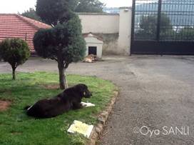 http://2.bp.blogspot.com/-VJn344DBUBQ/UWB3s1rXTII/AAAAAAAB4nk/NXeFnlKTjDQ/s320/IMG_3969.JPG