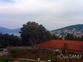 http://3.bp.blogspot.com/-3ANJL1atULM/UWFOBkHFVXI/AAAAAAAB478/2wa0e5By2r8/s320/IMG_4009.JPG