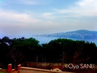 http://3.bp.blogspot.com/-DuhFb8mCwCU/UWFODn9Y1dI/AAAAAAAB49E/a-3Jb7G2UkY/s200/IMG_4011.JPG