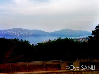 http://1.bp.blogspot.com/-T-XLPd9kM1s/UWFOBk3UwKI/AAAAAAAB480/B0G1vYlQj8M/s200/IMG_4010.JPG
