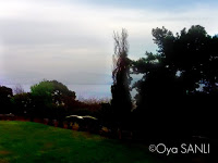 http://4.bp.blogspot.com/-WZM-0r2V_Ek/UWFOFP09EzI/AAAAAAAB49Q/hDX0mBj_mYI/s200/IMG_4013.JPG