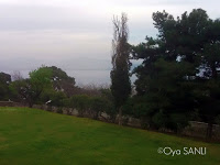http://3.bp.blogspot.com/-jsI-bMwpv2A/UWFOIOhoLXI/AAAAAAAB49k/afLbiiTZUZ4/s200/IMG_4015.JPG