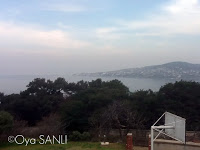 http://3.bp.blogspot.com/-JY_vH0Thwnc/UWFOKl9F85I/AAAAAAAB49w/Wv1LxtiWSZQ/s200/IMG_4018.JPG