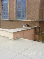 http://1.bp.blogspot.com/-IgV1B3ZkMO0/UWFoygdZw0I/AAAAAAAB4_s/zJmm9K0cX8c/s200/IMG_4022.JPG
