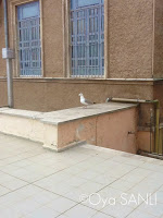 http://1.bp.blogspot.com/-vjqhTn0UBwQ/UWFo2lgn_QI/AAAAAAAB4_w/WaBhloGra-4/s200/IMG_4023.JPG