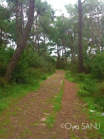 http://2.bp.blogspot.com/-8ZFmNmS4fJg/UWFzBh2FZRI/AAAAAAAB5EM/1UdQvUpaOBI/s200/IMG_4035.JPG