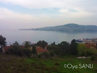 http://4.bp.blogspot.com/-lftgRaqTDSg/UWFzRaCMBFI/AAAAAAAB5FA/Du4kTlye_Lo/s200/IMG_4046.JPG