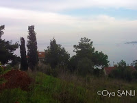 http://2.bp.blogspot.com/-iXoi3nA01N0/UWFzXuigO_I/AAAAAAAB5FI/gCblJQT-98w/s200/IMG_4048.JPG