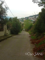 http://4.bp.blogspot.com/-bSC5Pv2Tr38/UWFzc90p7LI/AAAAAAAB5FQ/unyUE30UHvY/s200/IMG_4050.JPG