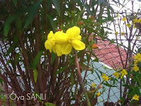 http://1.bp.blogspot.com/-6zSsFIRs8rE/UWFza6UldTI/AAAAAAAB5FM/6LHr6TD-vxM/s200/IMG_4049.JPG