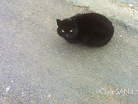http://4.bp.blogspot.com/--fgrppLu4n0/UWGRHdFFpWI/AAAAAAAB5Jc/RUOaGtWrc0Y/s200/IMG_4067.JPG