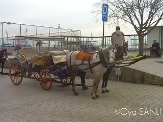 http://1.bp.blogspot.com/-rTJSD39qtco/UWGbpu7wArI/AAAAAAAB5Lc/PcDvNAsoKGQ/s320/IMG_4080.JPG